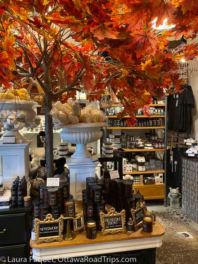 An artificial maple tree with fall leaves above a display of black and white candles and gilt frames on an antique wood table.