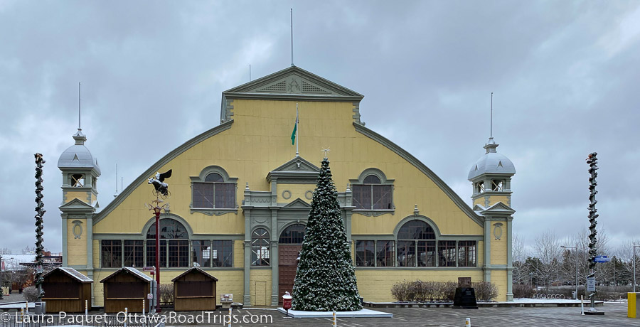 large coniferous tree in front of a yellow heritage building