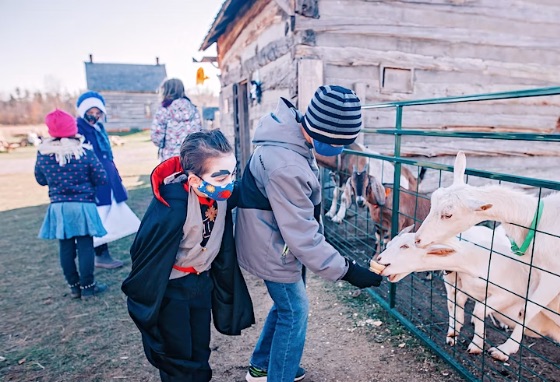 children in masks and halloween costumes feeding goats through a fence.