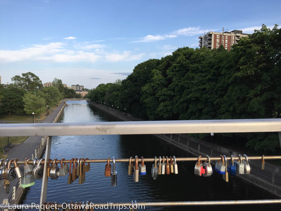 metal locks on a metal railing on the corktown bridge across the rideau canal
