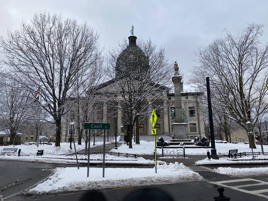 large grey classical-style courthouse with green dome surrounded by leafless trees in winter in binghamton ny.