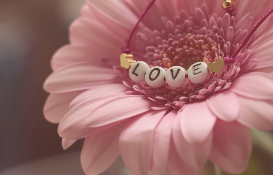 small letters spelling out "love" inside a pink flower
