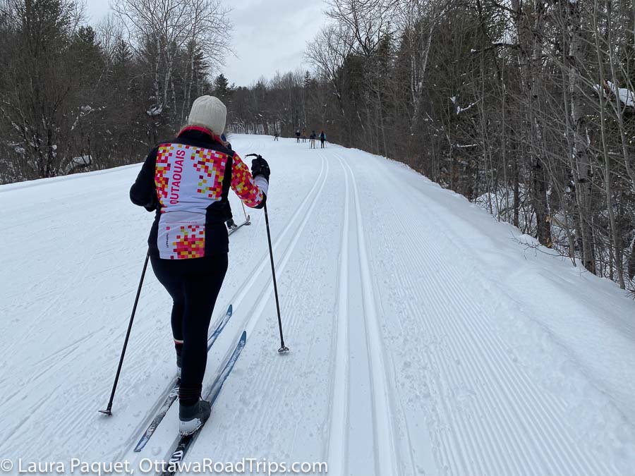 view from behind of skier on gatineau park cross-country ski trail