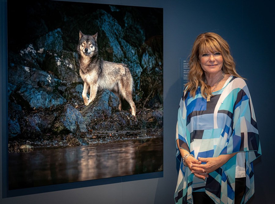 woman with long red-gold hair in front of large photograph of a male wolf staring straight at the camera from a shoreline