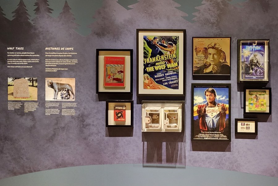 movie posters and album covers featuring wolves, on a wall decorated with images of pine trees