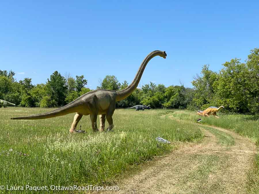 the lost kingdoms ottawa is an attraction featuring 50+ animatronic dinosaurs and ice age creatures. it's on at Wesley Clover Parks until July 9.