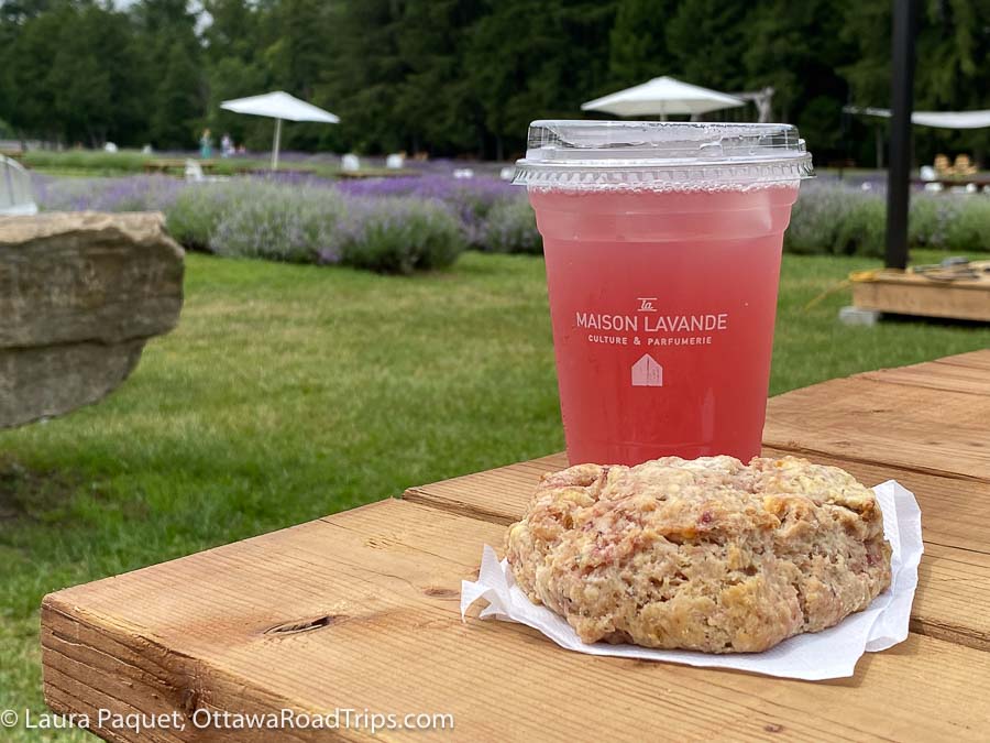 a scone and a plastic cup of pink lemonade on a picnic table