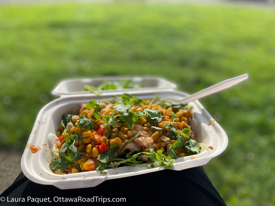 cardboard container filled with chicken, rice, corn and cilantro in a park in ogdensburg in st. lawrence county, new york.