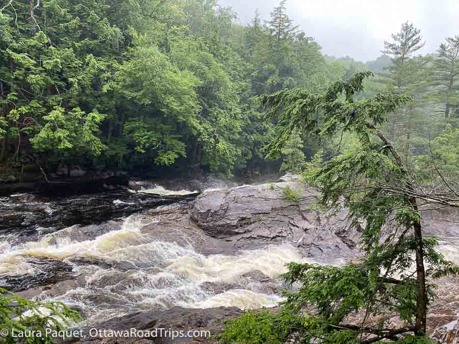 water rushing over rocks on a tree-lined river along the stone valley trail, a popular hiking route in st lawrence county new york.