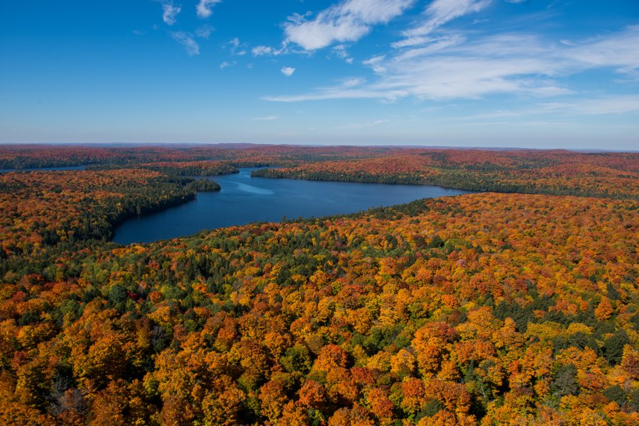 aerial view of vast forests with fall colours, with a lake in the middle background.