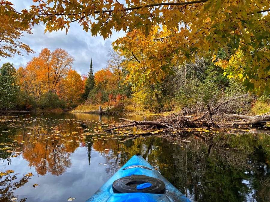 bow of a blue kayak on a quiet river framed by fall trees.