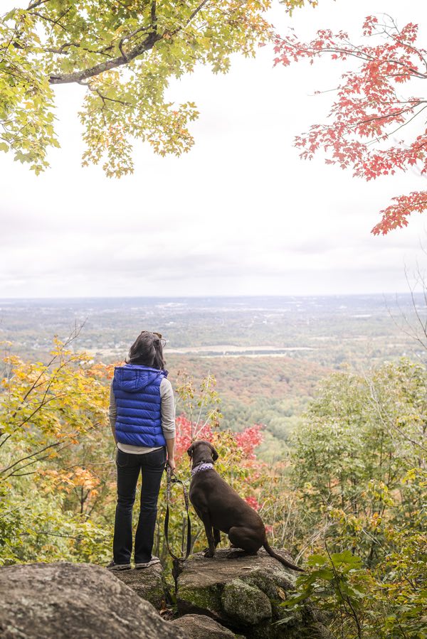 a woman and a dog stand on a rock overlooking fall colours in the ottawa valley from gatineau park.