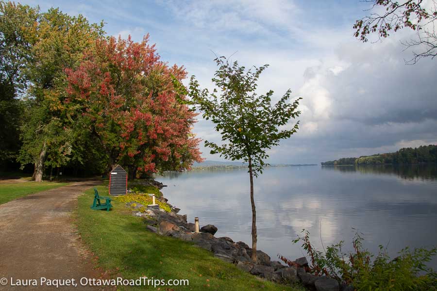 a tree just showing its fall colours in quebec, beside the ottawa river on the grounds of the fairmont le château montebello hotel.