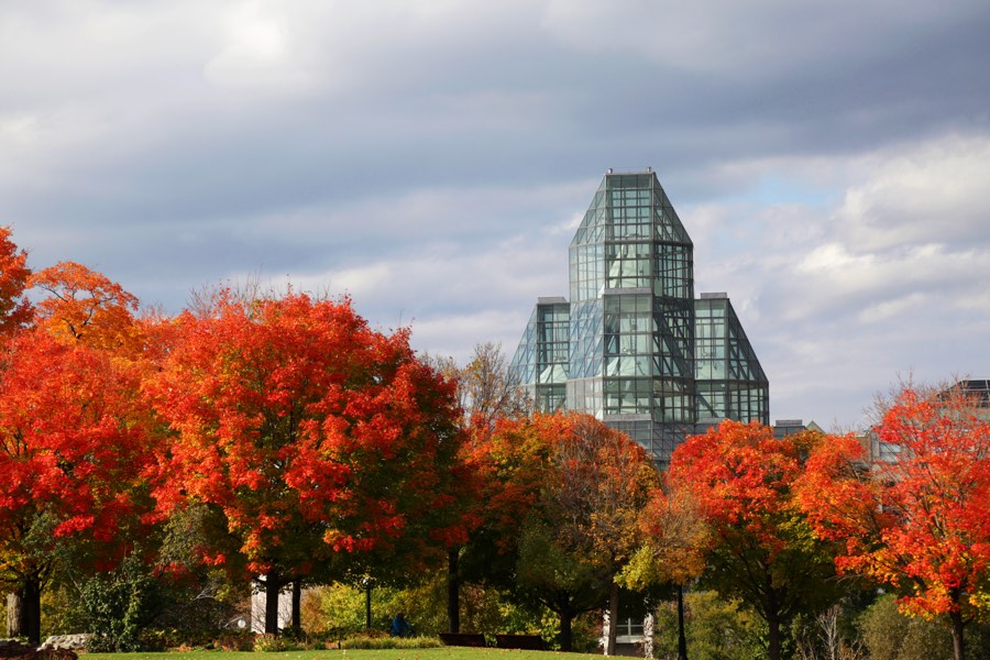 trees displaying red and orange ontario fall colours in major's Hill Park in Ottawa, with the pyramid of the National Gallery of Canada in the background.
