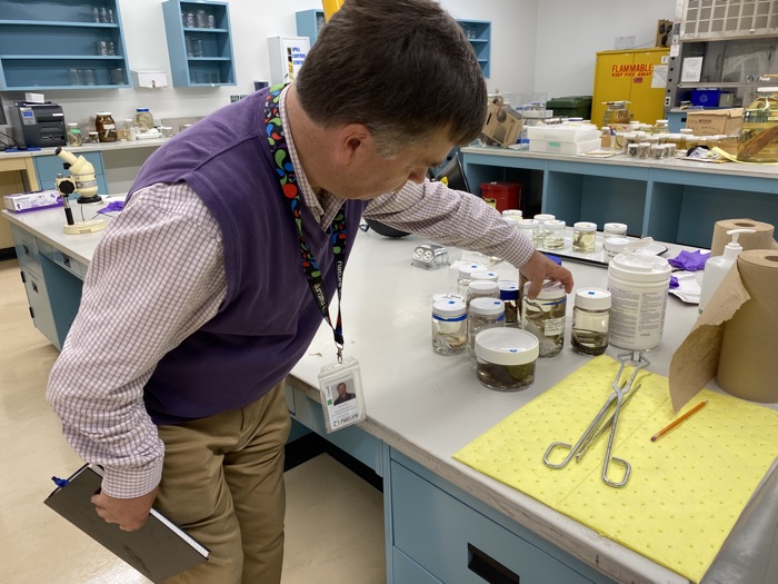 man looking at a small jar holding a scientific specimen, in a large lab