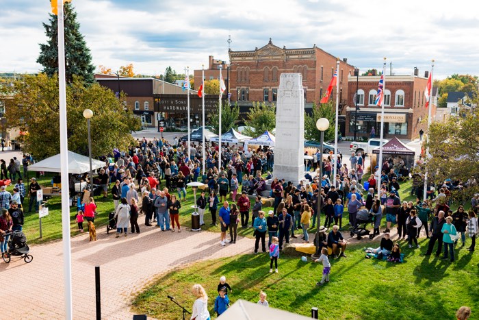 crowds gathered in a park near a cenotaph in renfrew, ontario