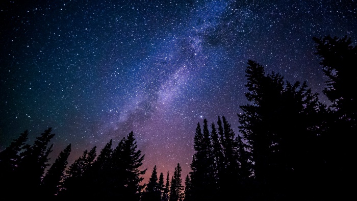 view through surrounding trees of a purple and pink night sky with lots of stars.