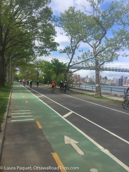 cyclists on a tree-lined road next to the east river in brooklyn, new york, with a bridge in the background