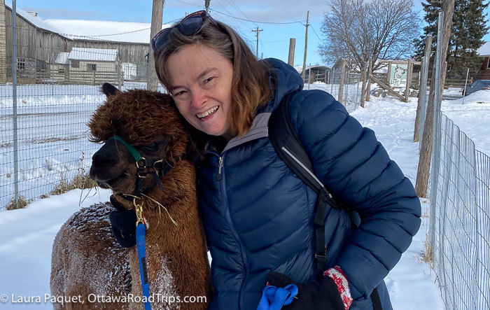 woman in blue winter coat hugging brown alpaca on a snowy farm trail