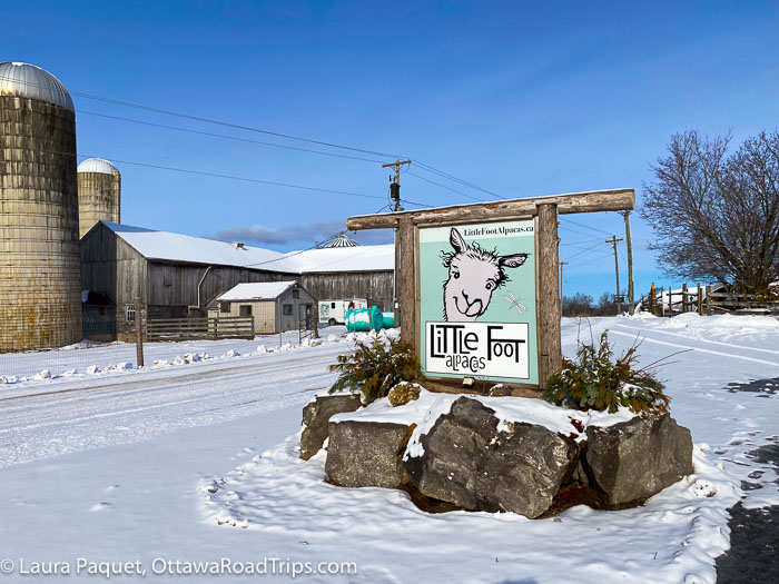 sign with cute illustration of alpaca outside a barn