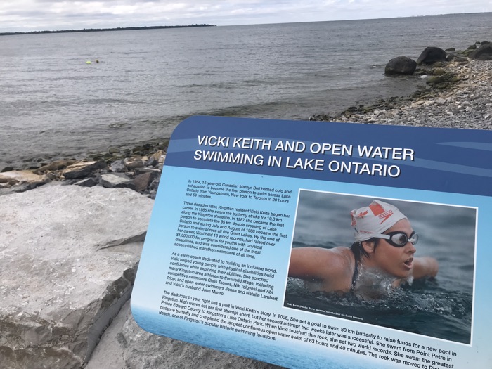 large informational plaque about swimmer vicki keith on a rocky lake ontario shoreline in kingston.