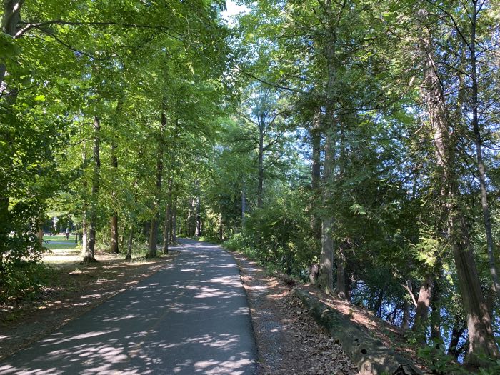 paved path below trees in vincent massey park