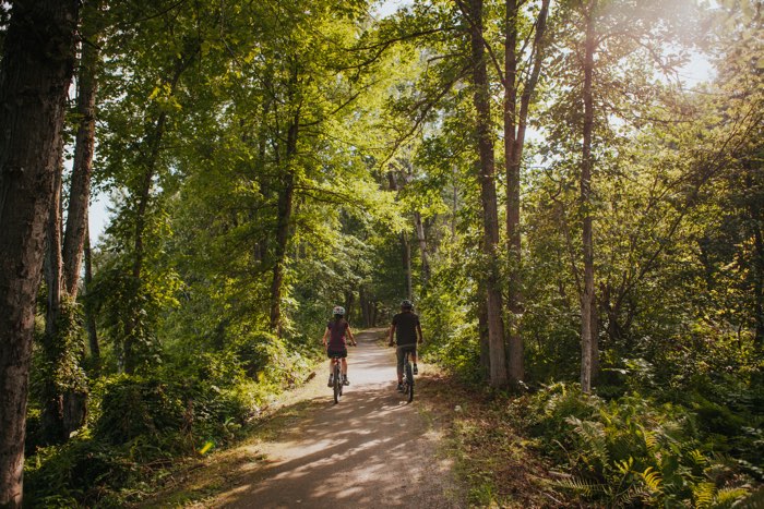 two people cycling along a forest trail