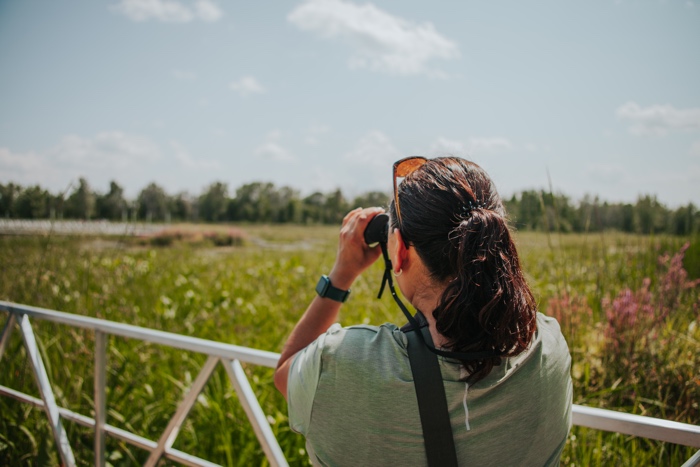 woman standing on a metal bridge looking at a marsh through binoculars