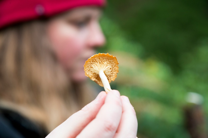elliott-stallion-mushroom-unsplash - Ottawa Road Trips closeup of a hand holding a small mushroom, with a woman in the blurred background
