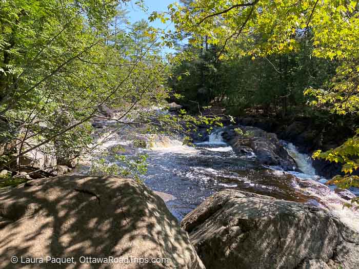 small, rocky waterfall surrounded by trees