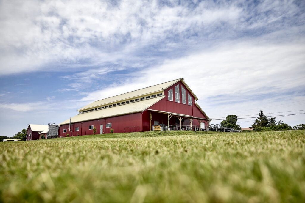 mackinnonbrothers barn june2024 dest ont peter lusztyk - Ottawa Road Trips red barn surrounded by field of green