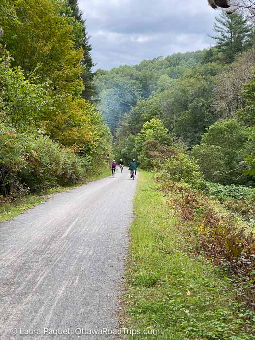 three cyclists on a crushed gravel section of the p'tit Train du Nord trail, surrounded by trees.