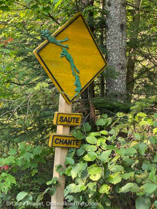 green and yellow sign with jumping frogs reading "saute chante"