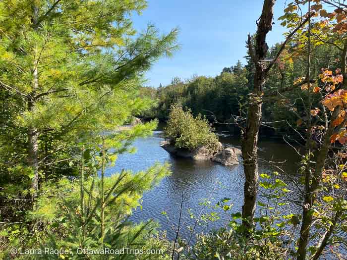 small rocky island with a tree in a river