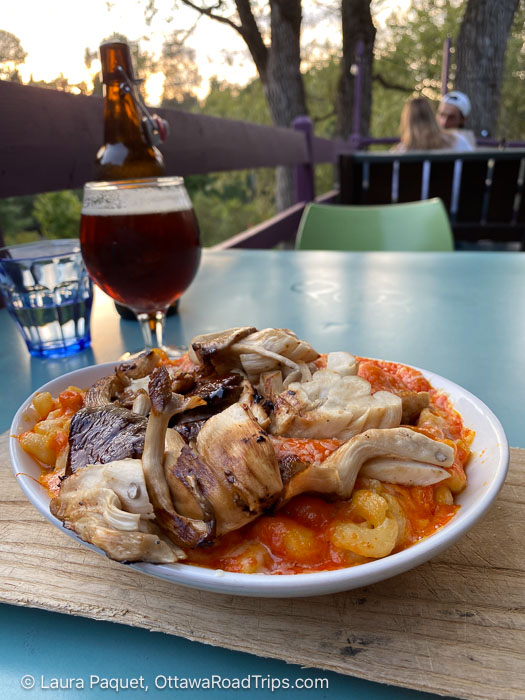 pasta with mushrooms in a white bowl, with a glass of dark beer
