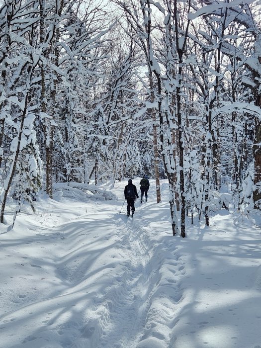 les routes blanches 2 sized - Ottawa Road Trips two skiers in a snowy forest