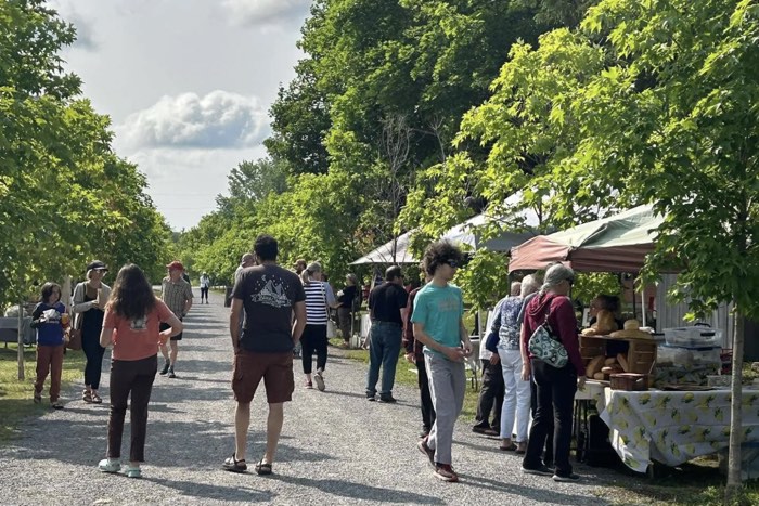 people browsing at stalls set up along a gravel trail at the almonte farmers market