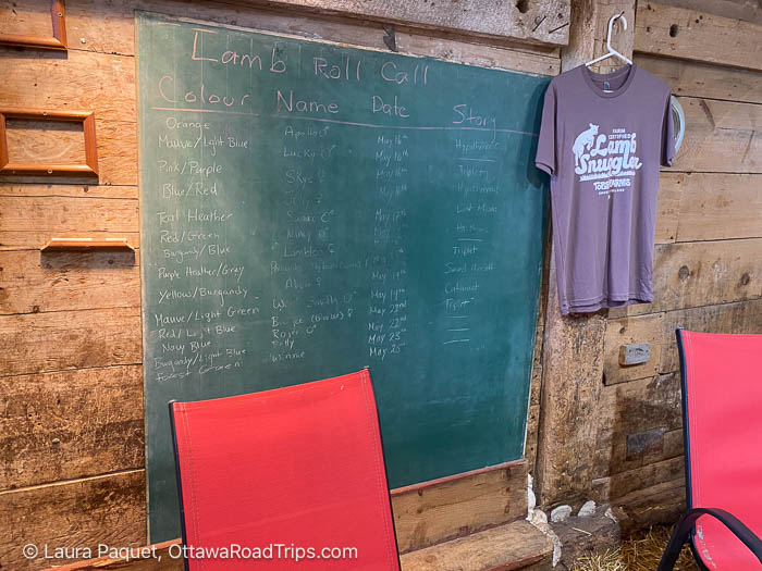 blackboard listing names of lambs