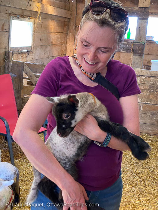 smiling woman holding a lamb