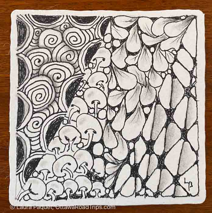 black-and-white zentangle-style pattern: spirals on the left, rounded mushroom-like forms in the center, and teardrop/leaf shapes on the right.
