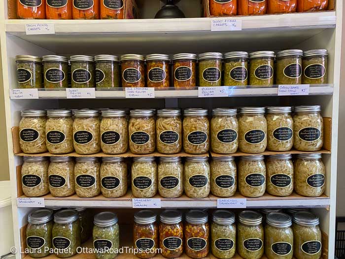 rows of jars of preserves on white shelves at harvest brinery