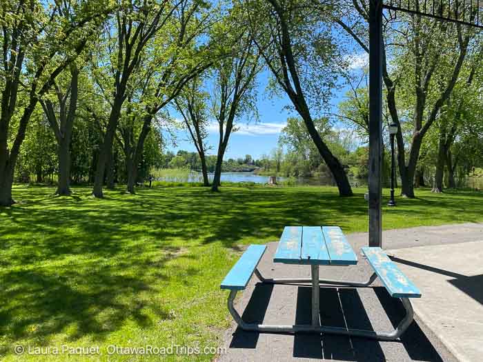 green picnic table surrounded by trees and near a river