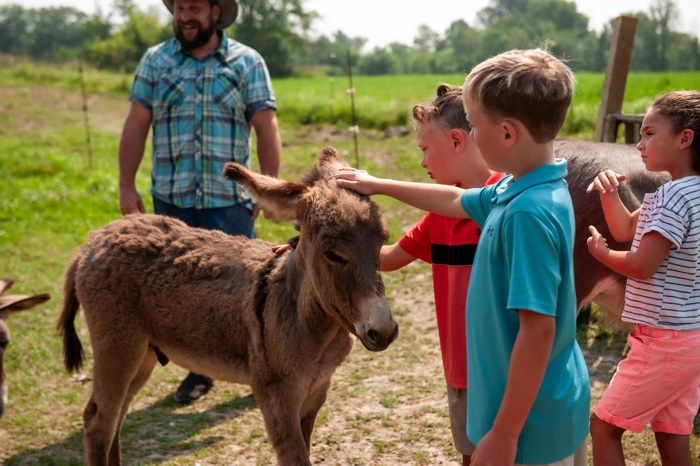 children petting a donkey with farmer in background