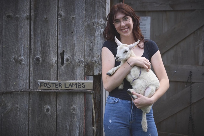 young woman holding a lamb in front of a barn with a sign reading "foster lambs."